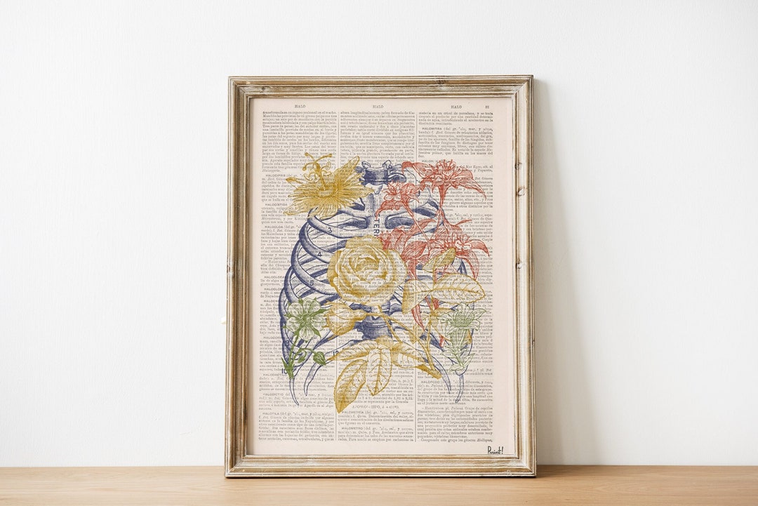 Colored Ribcage Bones Engraving Art Print | Floral Anatomy Wall Decor ...