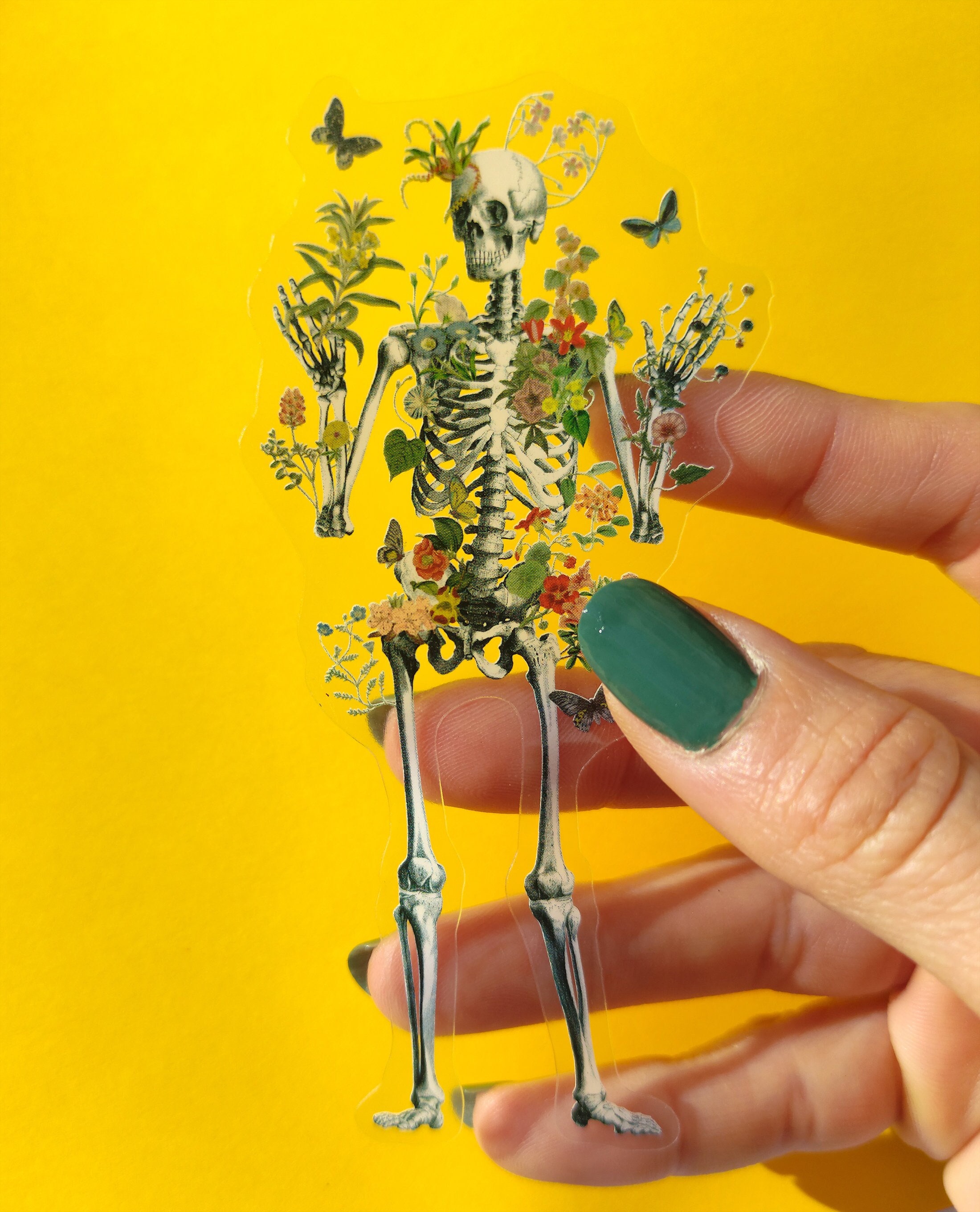 Clear Moth Skeleton Stickers: Floral Anatomy Decal - Set of 3