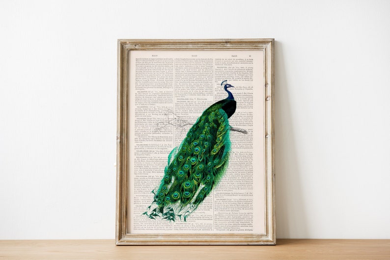 Original Art, Beautiful Peacock illustration printed on vintage book page, perfect for gifts, Classical Bird illustration Wall art, ANI148 image 1