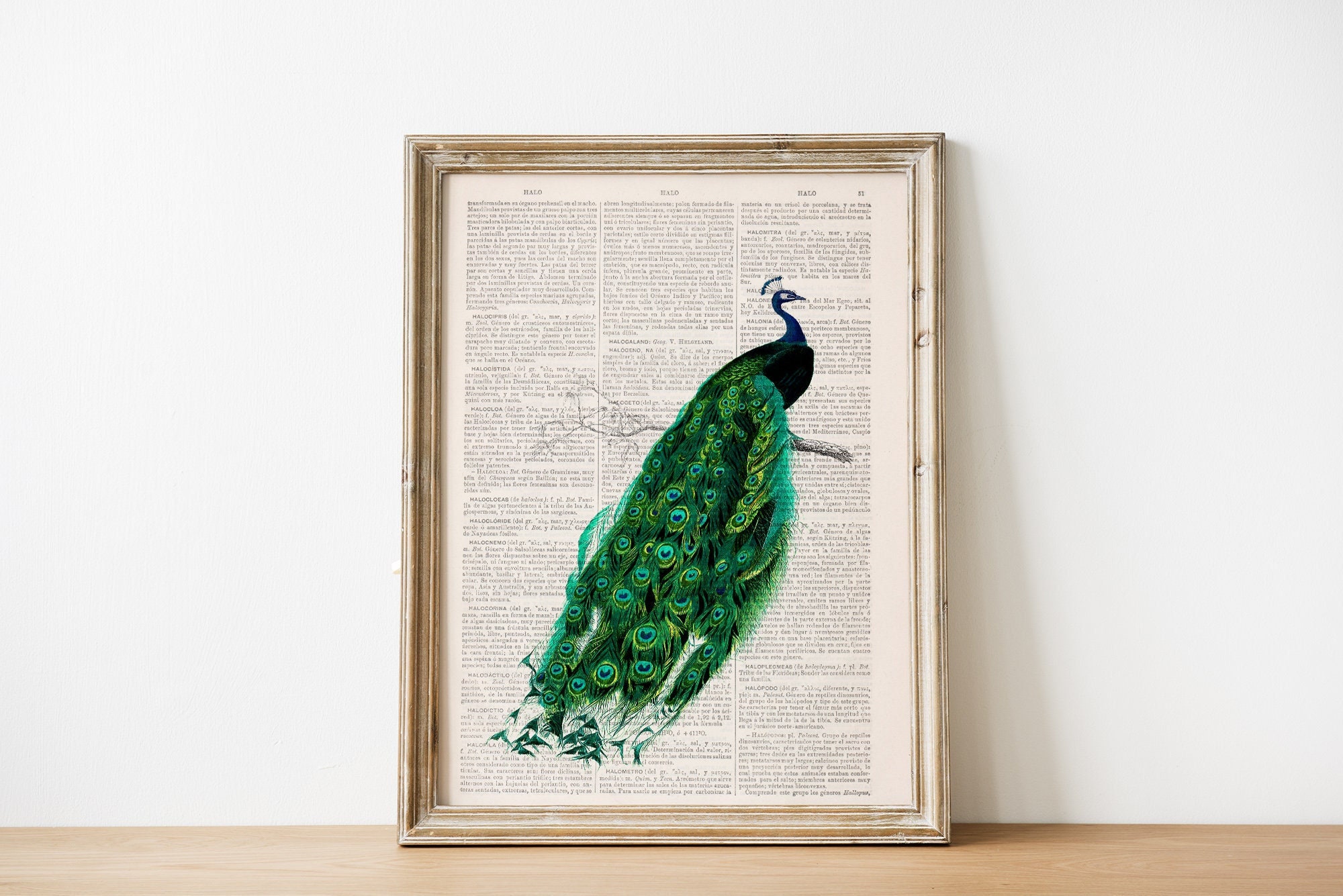 ★Original ART  ‘Peacock’ il_fullxfull.4157245704_io2i.jpg