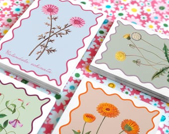 Botanical Flower Cards: Botanical Postcards, Set of 6, instant Art Gallery, Colorful Art