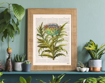 Cardoon Print: Botanische Kunst auf Vintage Buchseite