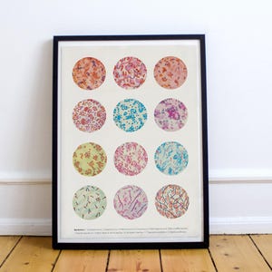 Microbiology poster, Bacteria Collection, Science Art, Science student gift, microbiology, biology art, science decor, science gift, SKA269