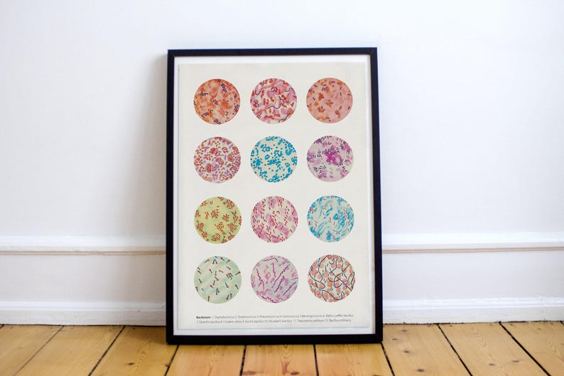 Microbiology poster, Bacteria Collection, Science Art, Science student gift, microbiology, biology art, science decor, science gift, SKA269