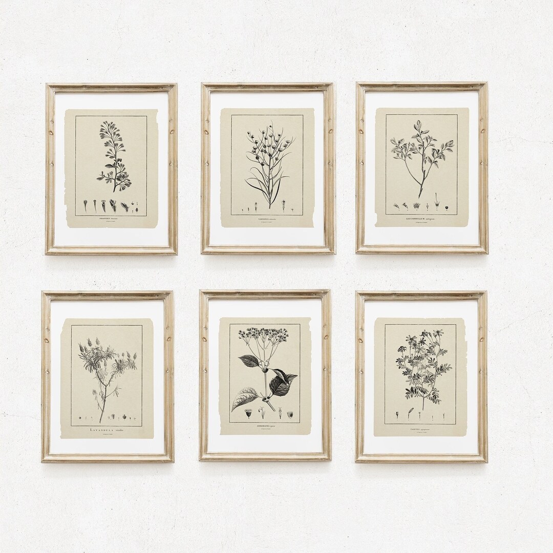 Vintage Botanical Print Set: French Farmhouse Gallery Wall Art - Etsy ...