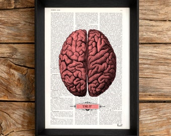 Może przedstawiać: Wydruk w ramie vintage'owej ilustracji anatomicznej ludzkiego mózgu w kolorze różowym na białym tle z tekstem "USE IT" na czarnym banerze.