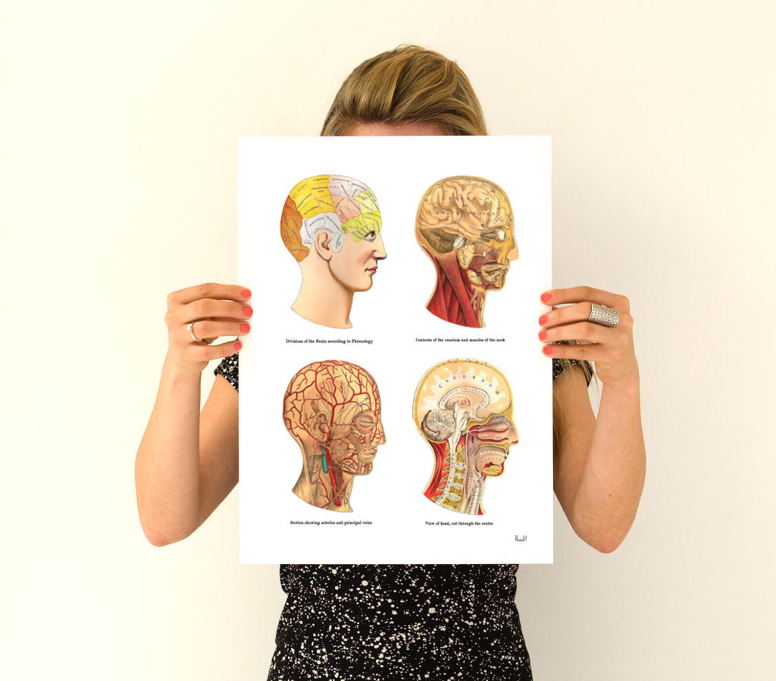 Wall Decor Study of the Brain Human Anatomy Art Anatomical Etsy