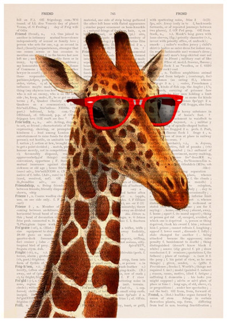 Cool Giraffe poster, Animal art, Animal decor, Wall decor, poster, poster print, Funny animal, ANI008PA3 image 4