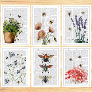 Notecards Set - Thank You Cards - Bees Set of Postcards - Set of 6 - Floral Greeting Cards - Save the bees Cards - PSC016
