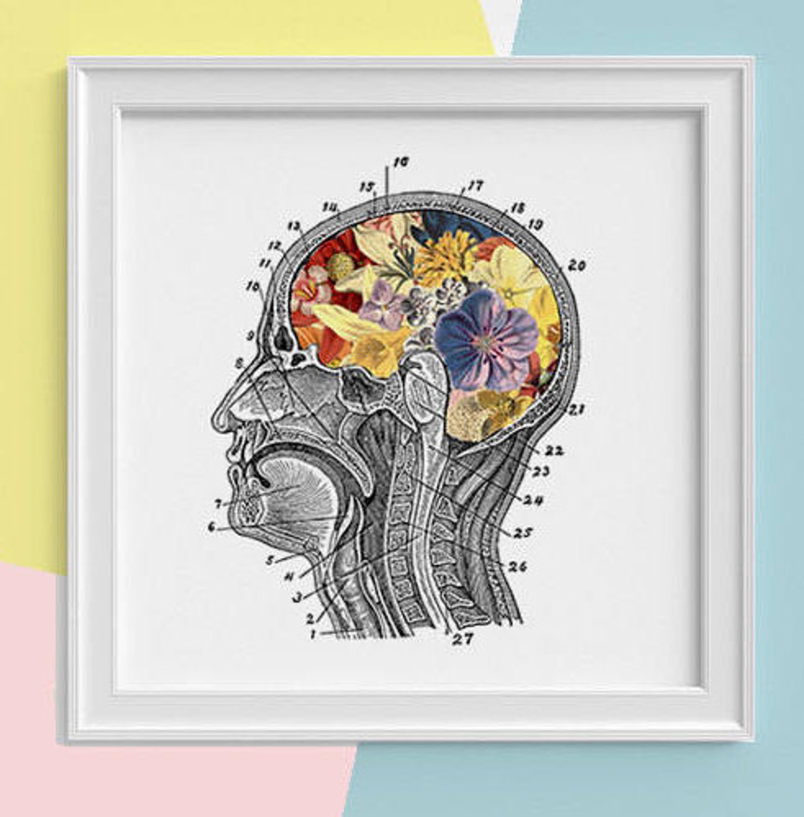 Flower Brain Anatomy Art Flower Anatomy Print Botanical Etsy