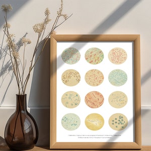 Bacteria Collection Art Print: Earth Tones Science Decor