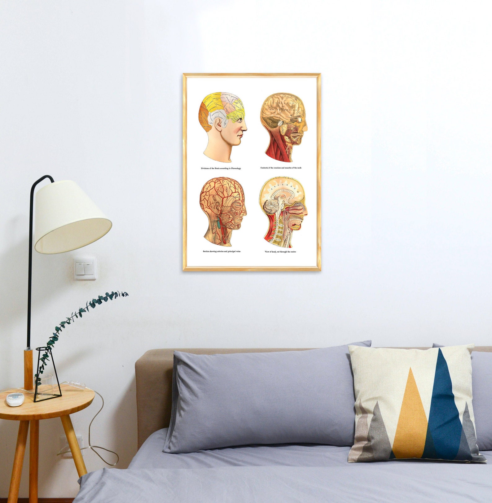 Wall decor Study of the Brain Human Anatomy Art Anatomical Etsy