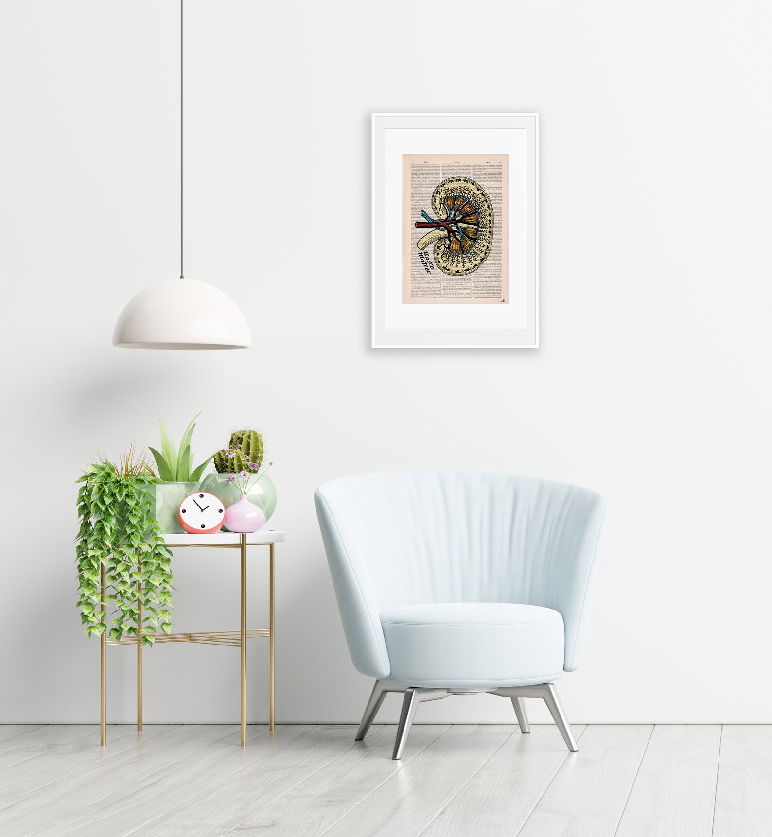 Wall Art Print Dictionary Page Anatomy Kidney Print on Etsy
