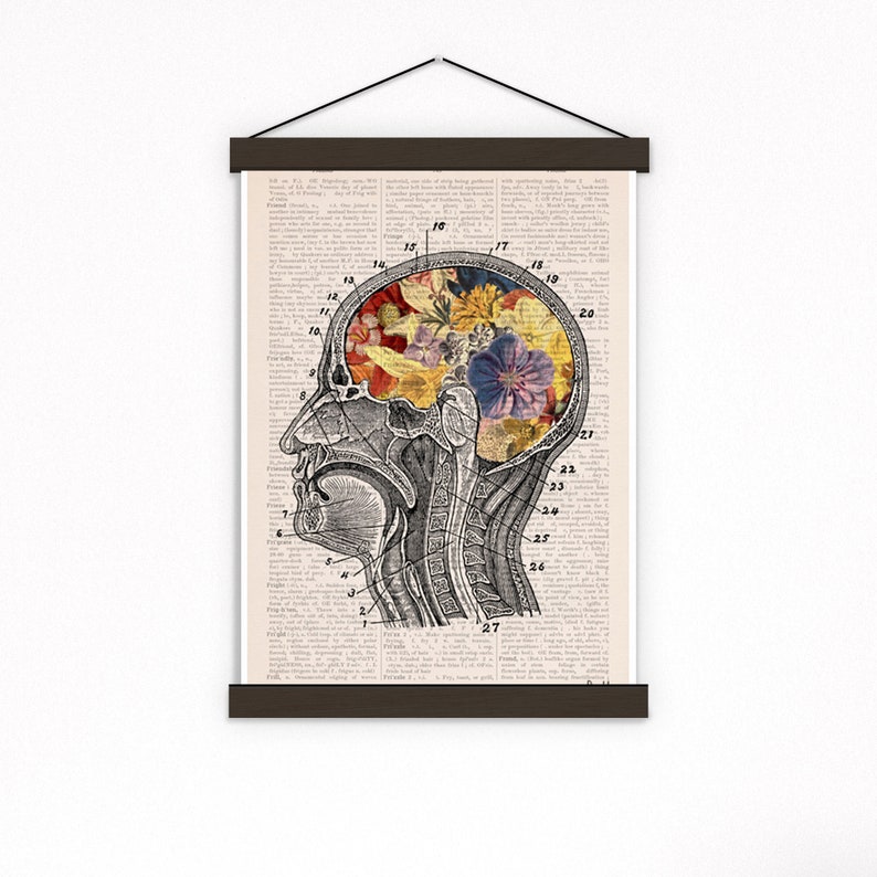 Office Wall Decor Anatomy Wall Art Brain Art Print Science Art Print Therapy Wall Print SKA053PA3 Black Wood Hanger