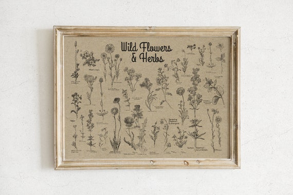 Vintage Wildflower Chart Print | Dark Academia Herbarium Poster