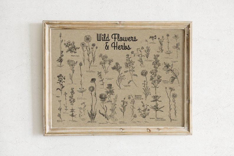 May include: A framed print with a beige background featuring a black and white illustration of various wild flowers and herbs. The title of the print is "Wild Flowers & Herbs".