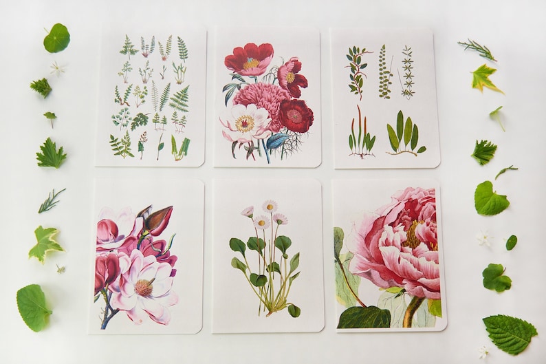 Botanical Thank You Cards Set of 6 Floral Greeting Cards Blank Note Cards Stationery Cards Folded Note Cards NTC001 image 2