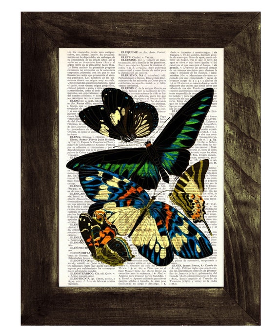 Butterflies Dictionary Book Print Altered art on upcycled Etsy