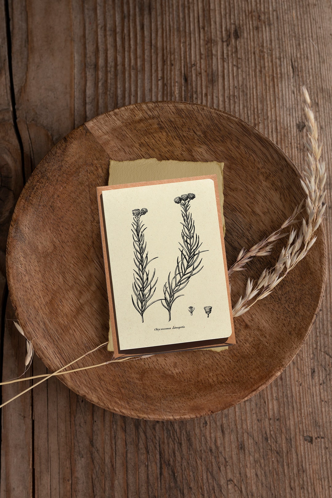 Botanical Notecards Set: Engraved Flower Greeting Cards, Set of 6 - Etsy