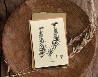 Botanical Notecards Set: Engraved Flower Greeting Cards, Set of 6
