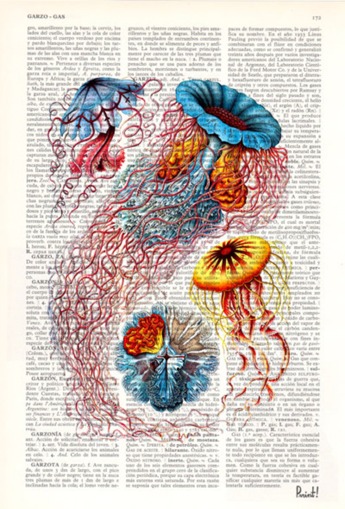 Jellyfish Dictionary art Print Wall art Jellyfish III Sea Etsy