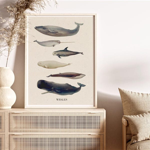 Whale Art Print: Nursery Bathroom Decor, A3 Poster