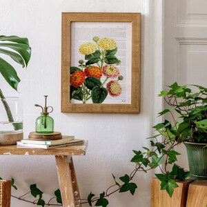 May include: A framed botanical print of a cluster of yellow, orange, and pink flowers with green leaves. The print is hanging on a white wall above a wooden table with a potted plant and a glass vase.