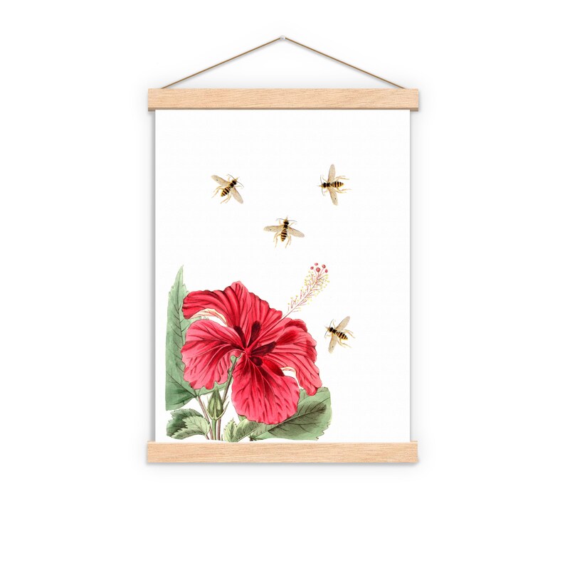 Flower wall art, Gift for mom, Art prints Christmas giftBees and the Hibiscus, Save the bees art, botanical wall art, home decor, BFL003 image 3