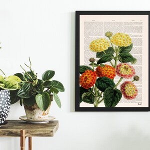 May include: A framed print of a vintage botanical illustration of a cluster of yellow, orange, and pink flowers with green leaves on a background of a page from an old book.
