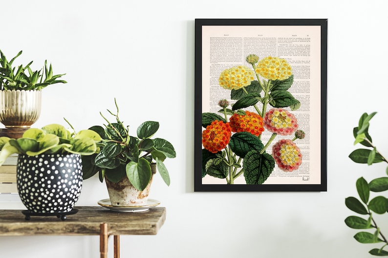May include: A framed print of a vintage botanical illustration of a cluster of yellow, orange, and pink flowers with green leaves on a background of a page from an old book.