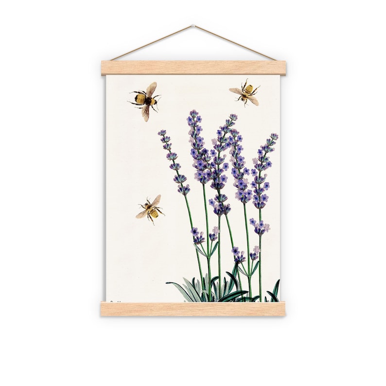 Lavender wall art Bees with Lavender Bees and flowers Wall Art Poster Save the Bees Art Print Flowers BFL11 image 6