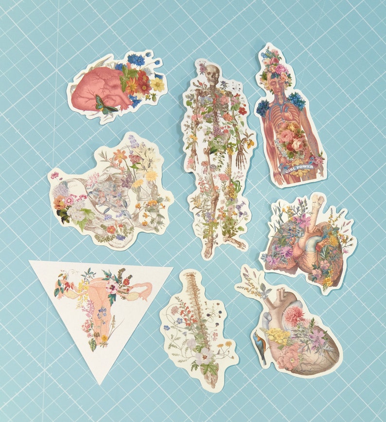 Stickers fleurs transparents Stickers anatomie transparents et dans des tons doux Sticker coeur anatomie florale Sticker pour ordinateur portable Stickers MacBook STC027 image 2