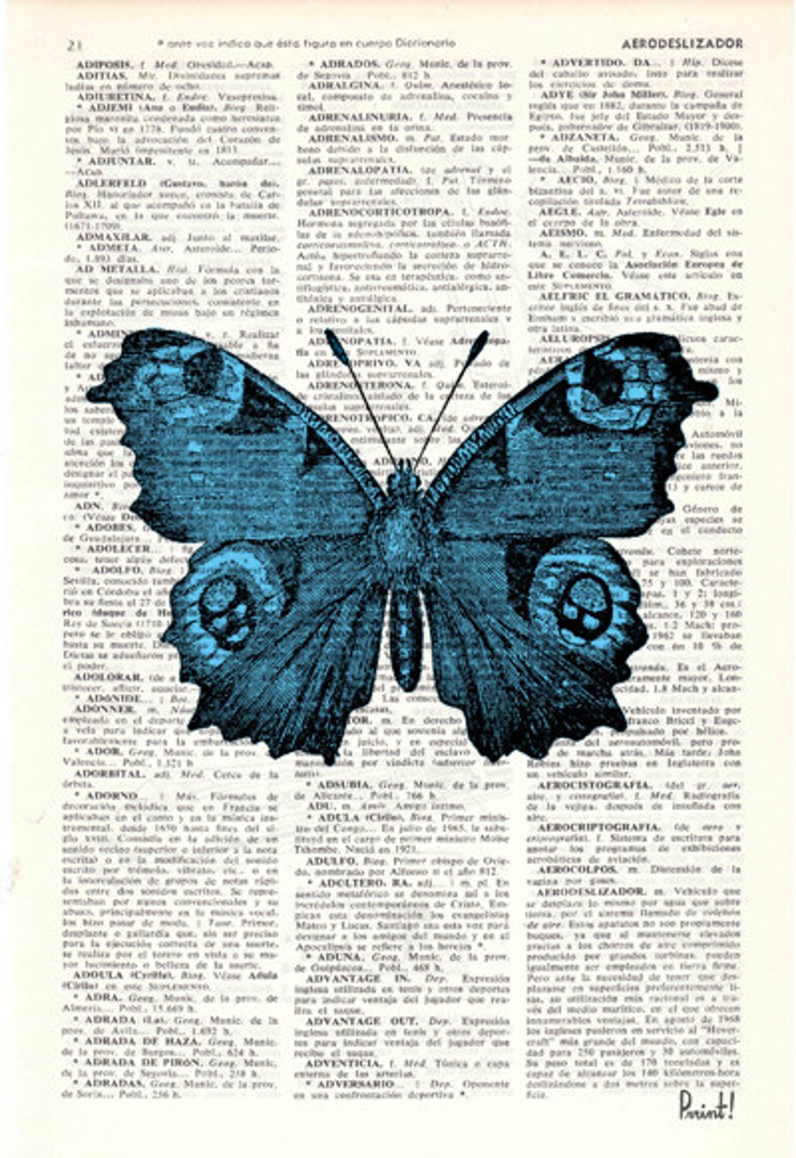 Blue Butterfly Dictionary Book Print perfect for gifts Etsy