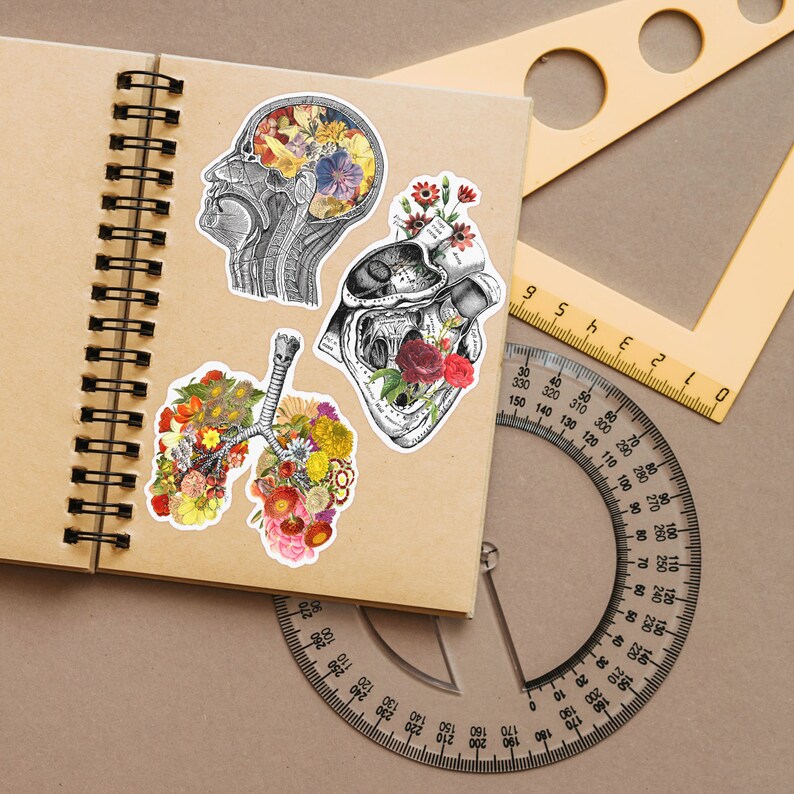 Stickers for Hydroflask Floral Stickers Anatomy Stickers Etsy UK