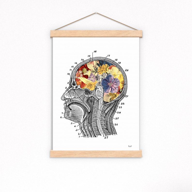 Unique wall Art Flowery Brain Anatomy Art Wall Art print Medical Art Anatomical Art Home decor Art SKA053 image 7