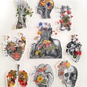Sticker pack - gift for her - Skull Stickers - Laptop Decal - Anatomy Gifts - Medical Anatomy Sticker - Sticker Bundle - Flower sticker pack