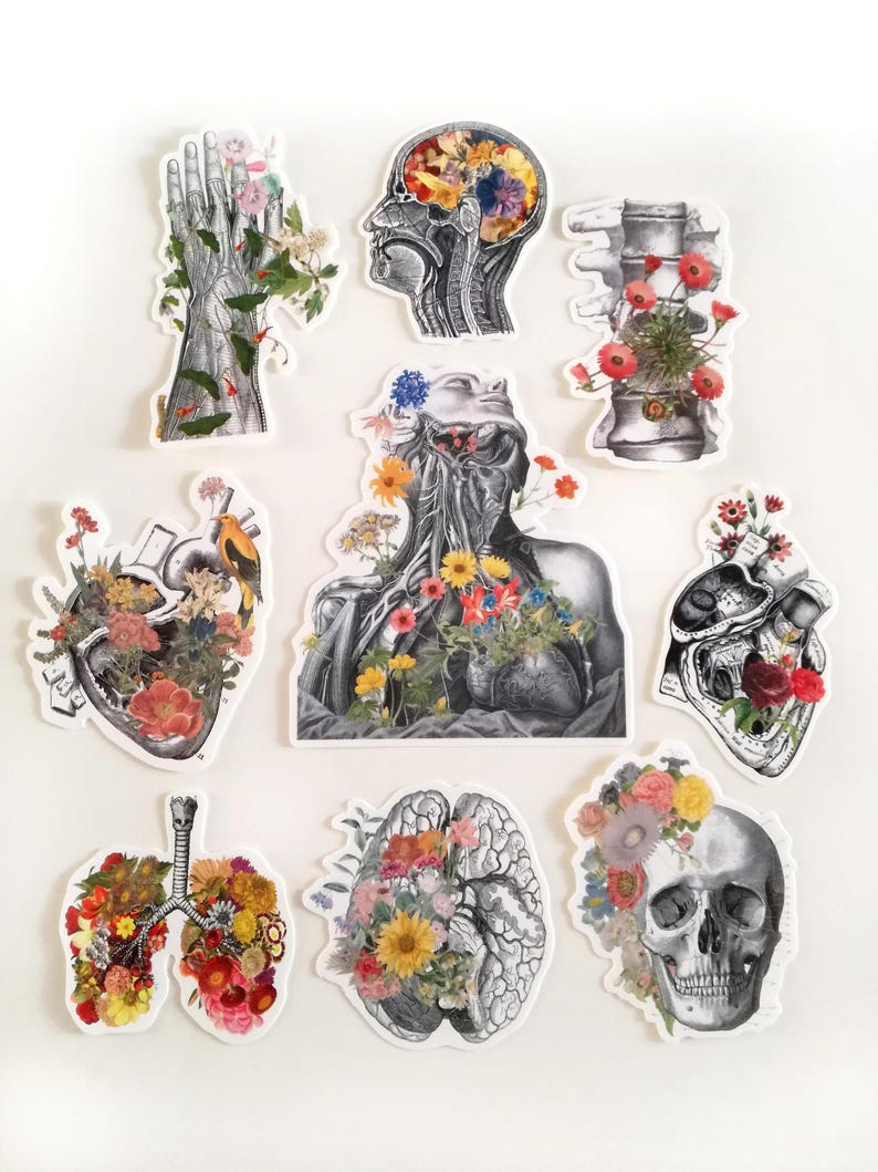 Sticker pack - gift for her - Skull Stickers - Laptop Decal - Anatomy Gifts - Medical Anatomy Sticker - Sticker Bundle - Flower sticker pack