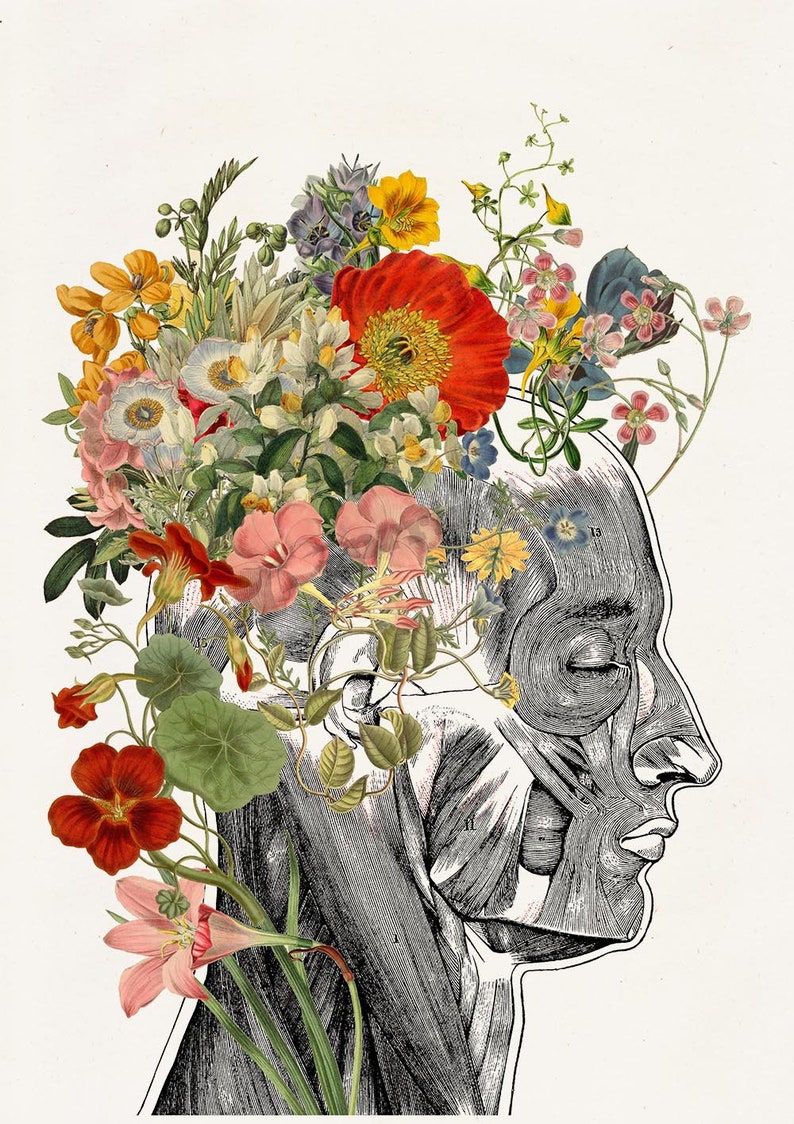 Human anatomy Set of 9 Flower Anatomy Botanical Anatomy Etsy