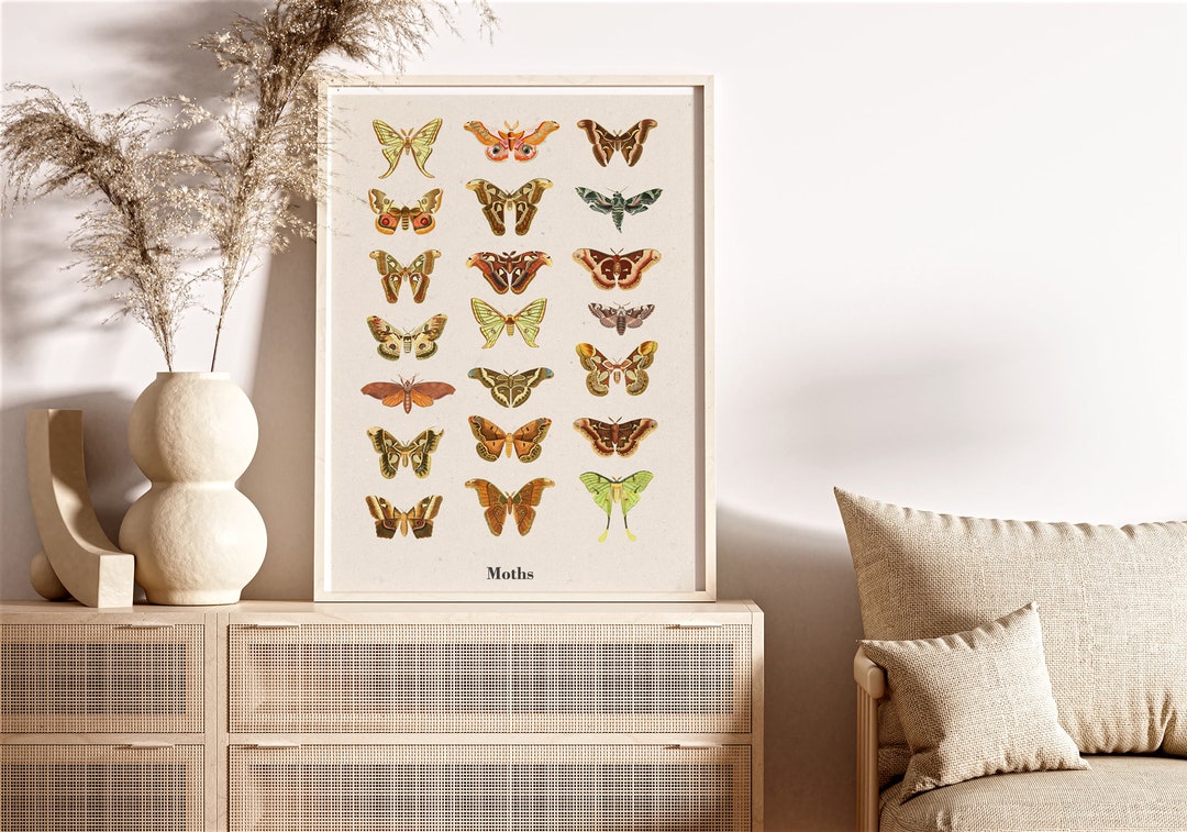 Wall Decor Moths Print - Biology Wall Art - Butterfly Art - Boho Poster ...