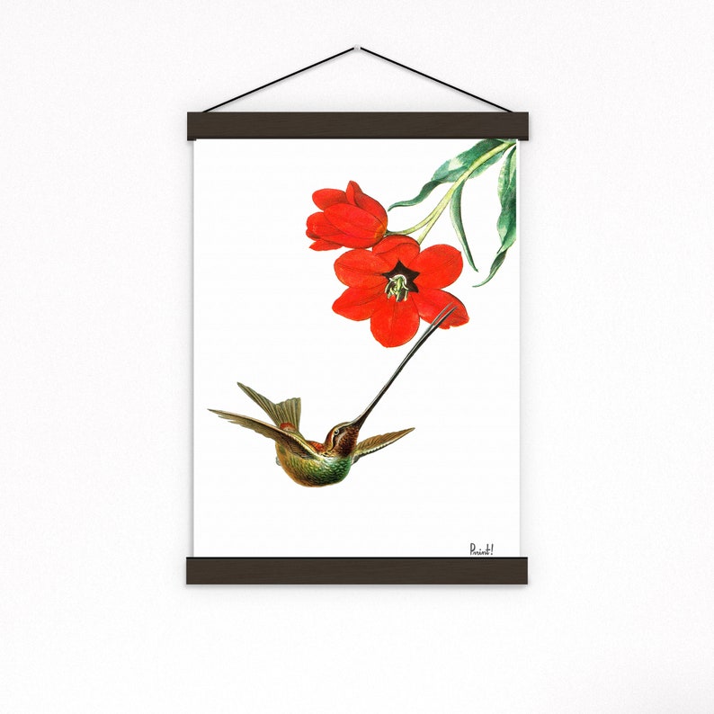 Hummingbird Wall art, Wall decor, Gift Art for Home , Nursery wall art, Prints, Bird prints, art print, ANI122 image 7