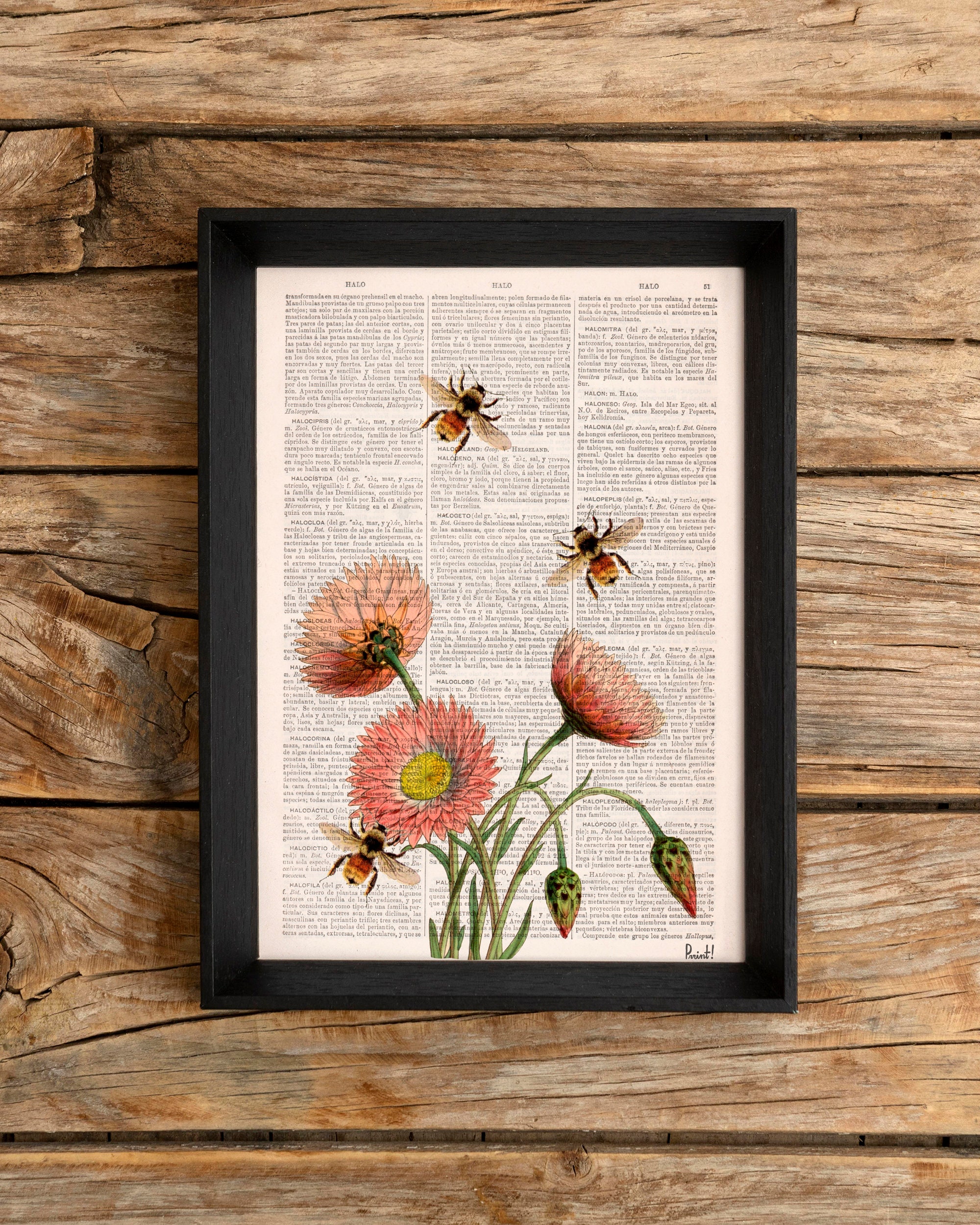 meditaciónrajayoga #sustentoparaelalma #regaloparaelalma #gestoespiri... |  TikTok, image size:2000x2499