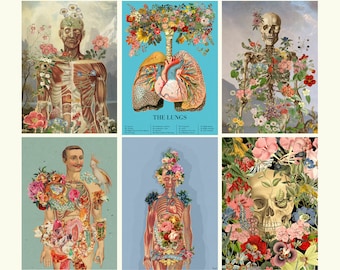 Human Anatomical Postcards Set - Skeleton Flower Anatomy - Botanical - Flower Lungs - Medical art gift set - PSC005