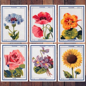 Peut inclure: Un ensemble de six impressions botaniques rectangulaires illustrant un bleuet bleu, un coquelicot rouge, une capucine orange, une rose rose, une violette violette et un tournesol jaune. Chaque image porte le texte FLEURS, SÉRIE XIV et le nom.