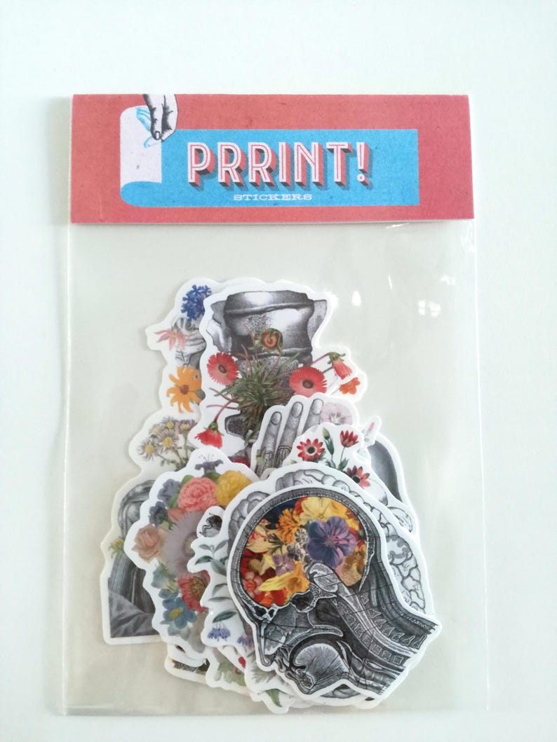 Sticker pack - gift for her - Skull Stickers - Laptop Decal - Anatomy Gifts - Medical Anatomy Sticker - Sticker Bundle - Flower sticker pack