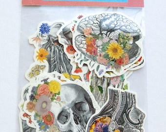 Sticker pack - gift for her - Skull Stickers - Laptop Decal - Anatomy Gifts - Medical Anatomy Sticker - Sticker Bundle - Flower sticker pack