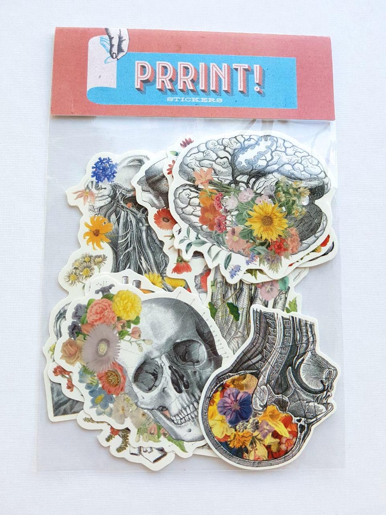 Sticker pack - gift for her - Skull Stickers - Laptop Decal - Anatomy Gifts - Medical Anatomy Sticker - Sticker Bundle - Flower sticker pack