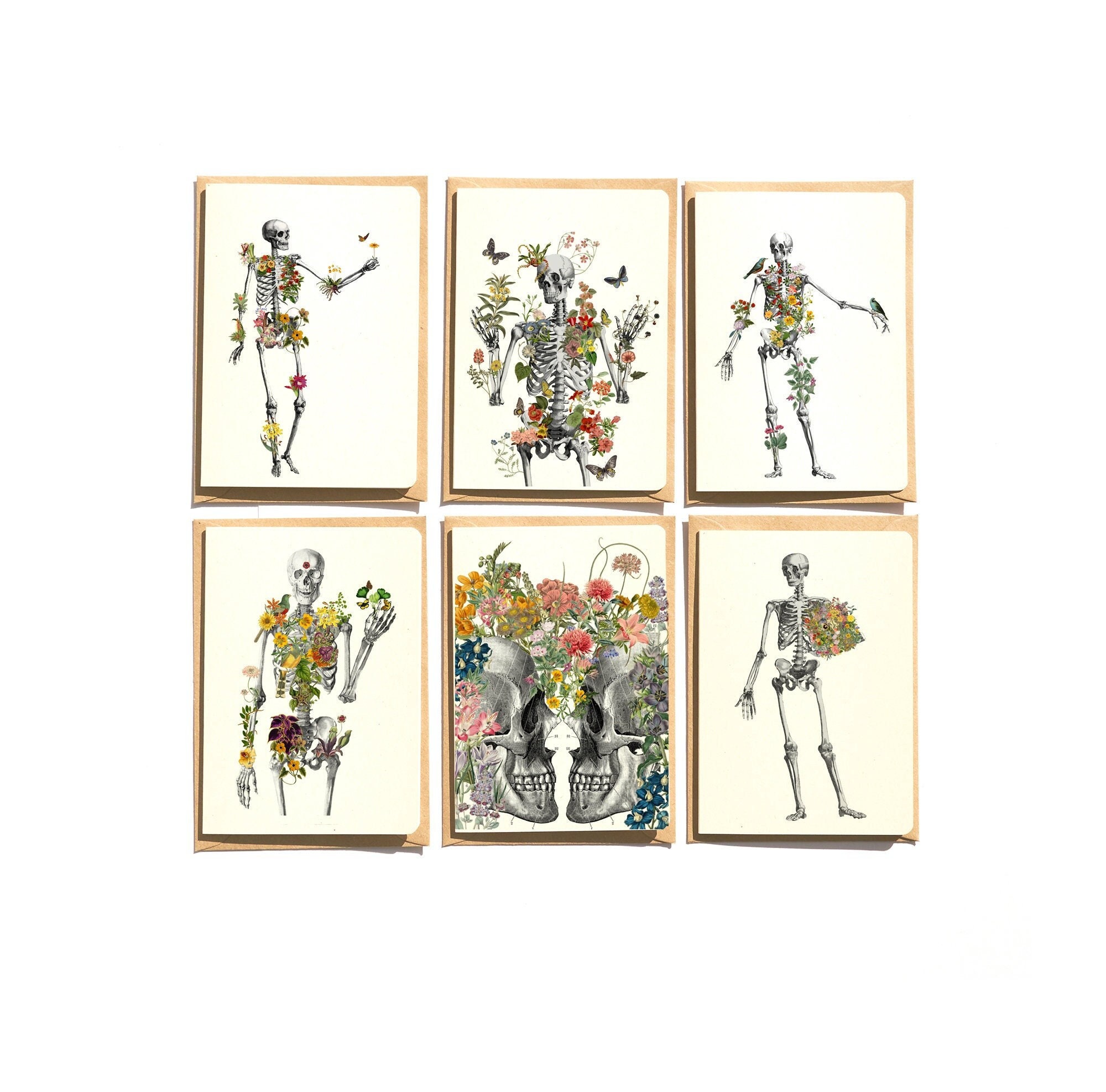 Skeleton Notecards Set: Arty Blank Cards With Envelopes - Etsy