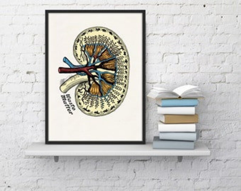 Wall Art Print Dictionary Page Anatomy Kidney Print on Etsy