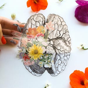 Stickers bouteille d'eau - Stickers cerveau humain - Sticker cerveau fleur - Sticker cerveau - Sticker pour ordinateur portable - Sticker transparent - STC028