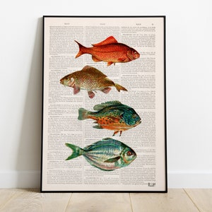 Colorful Art, Fishes art, Sea life decor, Vintage Book Dictionary or Encyclopedia Page Print Book print Vintage, fishes Print, SEA056